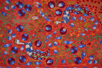 Tavus Kuşu Desenli Suzani Duvar Örtüsü 103 x 185 cm